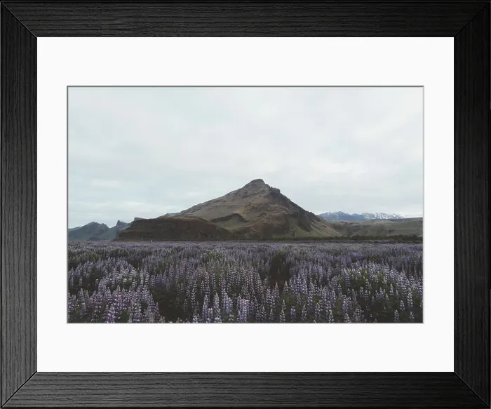 Framed Print : Typical Iceland landscape Framed Print : Typical Iceland landscape