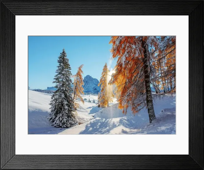 Framed Print : Picturesque landscape with orange larches covered by first snow on meadow Alpe di Siusi, Seiser Alm, Dolomites, Italy Framed Print : Picturesque landscape with orange larches covered by first snow on meadow Alpe di Siusi, Seiser Alm, Dolomites, Italy
