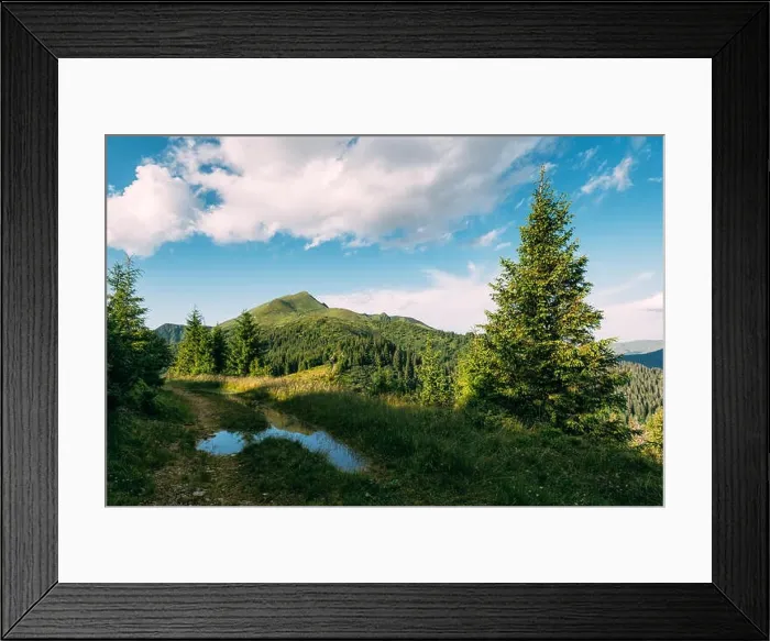 Framed Print : Picturesque summer landscape in sunny day Framed Print : Picturesque summer landscape in sunny day