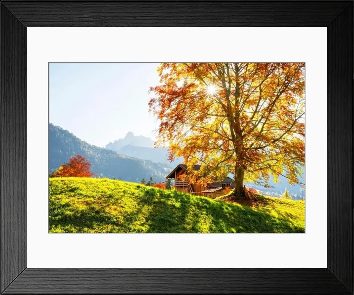 Framed Print : Sunny autumn landscape of italian countryside with orange tree and wooden cabin. Dolomite Alps