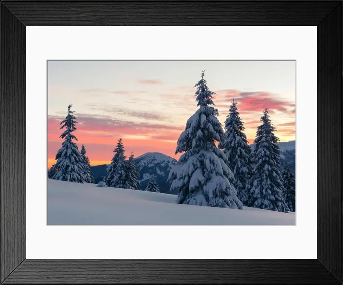 Framed Print : Dramatic wintry scene with snowy trees Framed Print : Dramatic wintry scene with snowy trees