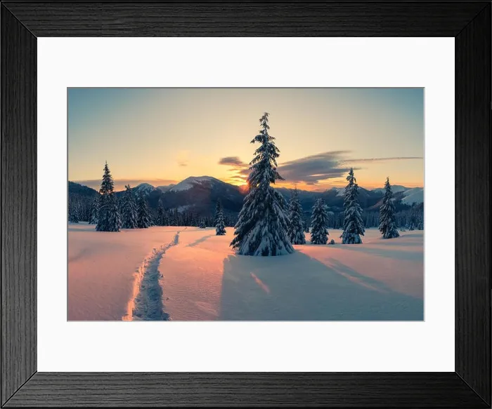 Framed Print : Dramatic wintry scene with snowy trees Framed Print : Dramatic wintry scene with snowy trees