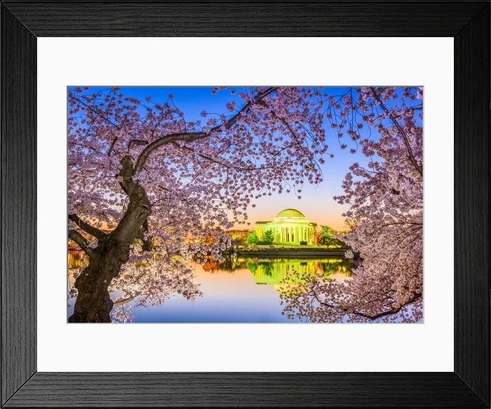 Framed Print : Washington DC, USA at the Jefferson Memorial and Tidal Basin during spring season Framed Print : Washington DC, USA at the Jefferson Memorial and Tidal Basin during spring season