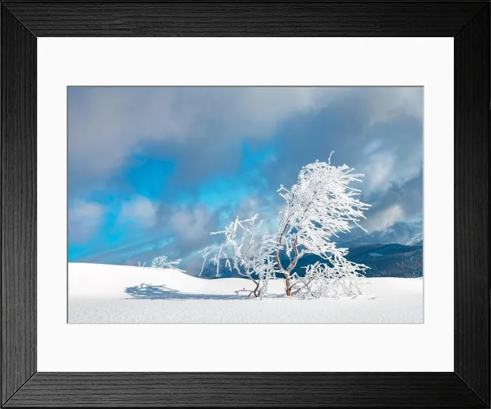 Framed Print : Fantastic winter landscape with snowy trees and snowy peaks. Carpathian mountains, Ukraine. Christmas holiday background. Landscape photography Framed Print : Fantastic winter landscape with snowy trees and snowy peaks. Carpathian mountains, Ukraine. Christmas holiday background. Landscape photography