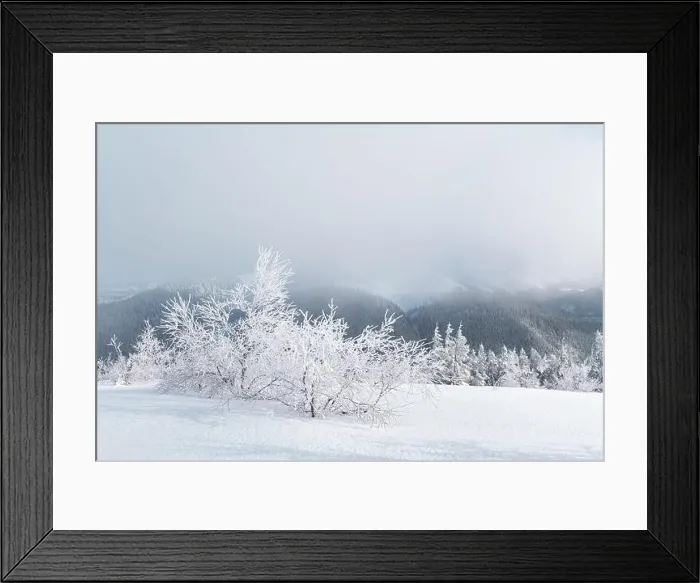 Framed Print : Fantastic winter landscape with snowy trees and snowy peaks. Carpathian mountains, Ukraine. Christmas holiday background. Landscape photography Framed Print : Fantastic winter landscape with snowy trees and snowy peaks. Carpathian mountains, Ukraine. Christmas holiday background. Landscape photography
