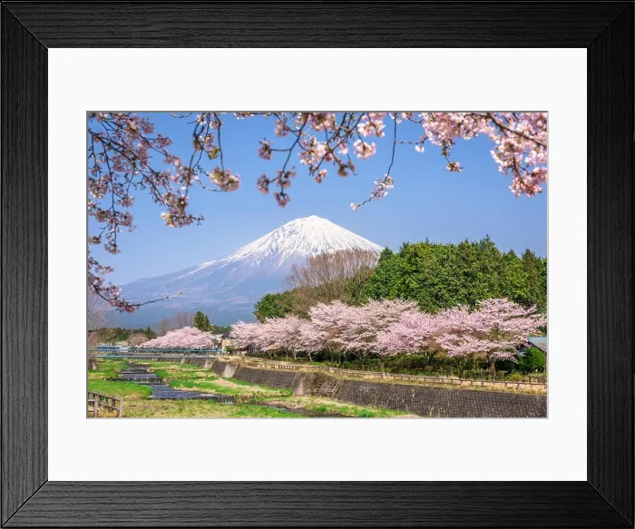Framed Print : Mt. Fuji viewed from rural Shizuoka Prefecture in spring season Framed Print : Mt. Fuji viewed from rural Shizuoka Prefecture in spring season