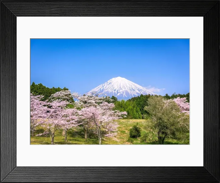 Framed Print : Mt. Fuji viewed from rural Shizuoka Prefecture in spring season Framed Print : Mt. Fuji viewed from rural Shizuoka Prefecture in spring season