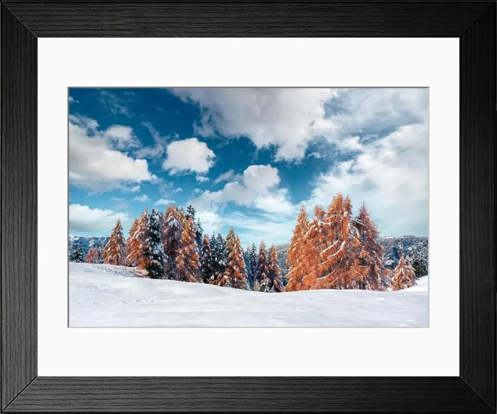 Framed Print : Picturesque landscape with orange larches covered by first snow on meadow Alpe di Siusi, Seiser Alm, Dolomites, Italy Framed Print : Picturesque landscape with orange larches covered by first snow on meadow Alpe di Siusi, Seiser Alm, Dolomites, Italy