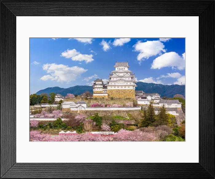 Framed Print : Himeji, Japan at Himeji Castle in spring season Framed Print : Himeji, Japan at Himeji Castle in spring season