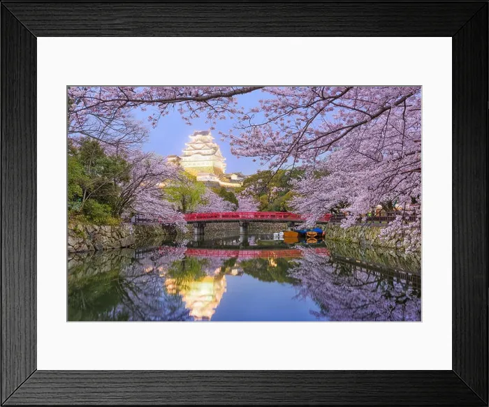 Framed Print : Himeji, Japan at Himeji Castle in spring season Framed Print : Himeji, Japan at Himeji Castle in spring season