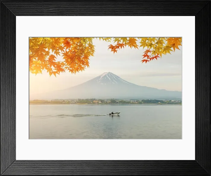 Framed Print : Autumn season and mountain Fuji in morning with red leaves maple at lake Kawaguchi, Japan. Autumn season in Japan Framed Print : Autumn season and mountain Fuji in morning with red leaves maple at lake Kawaguchi, Japan. Autumn season in Japan