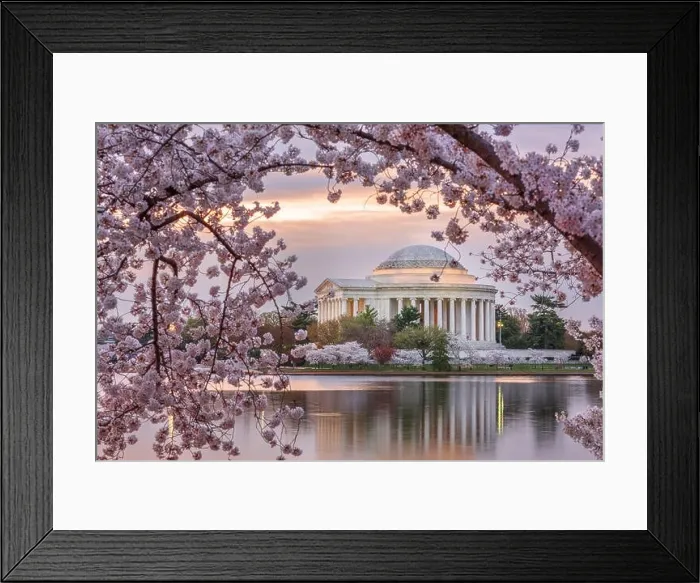 Framed Print : Washington DC, USA at the Jefferson Memorial and Tidal Basin during spring season Framed Print : Washington DC, USA at the Jefferson Memorial and Tidal Basin during spring season
