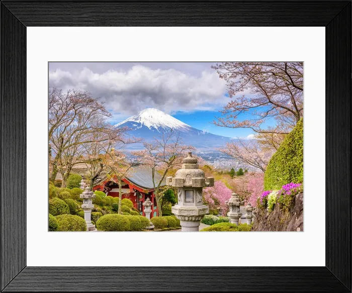 Framed Print : Gotemba City, Japan at Peace Park with Mt. Fuji in spring season Framed Print : Gotemba City, Japan at Peace Park with Mt. Fuji in spring season