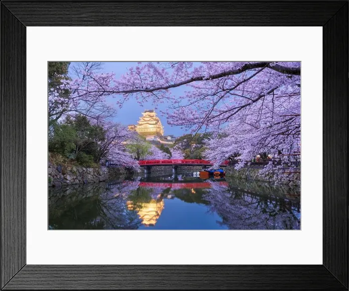 Framed Print : Himeji, Japan at Himeji Castle's surrounding moat in the spring season at dusk Framed Print : Himeji, Japan at Himeji Castle's surrounding moat in the spring season at dusk