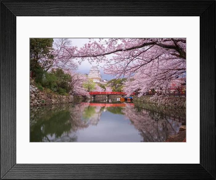 Framed Print : Himeji, Japan at Himeji Castle's surrounding moat in the spring season at dusk Framed Print : Himeji, Japan at Himeji Castle's surrounding moat in the spring season at dusk