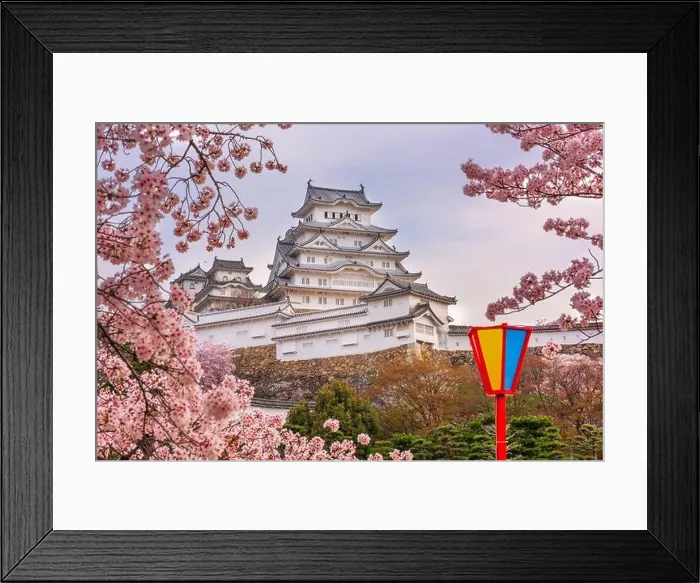 Framed Print : Himeji, Japan at Himeji Castle during spring cherry blossom season