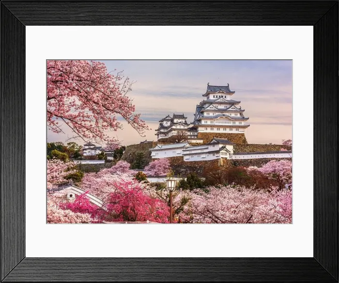 Framed Print : Himeji, Japan at Himeji Castle during spring cherry blossom season