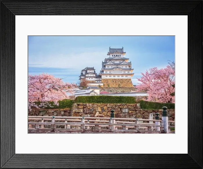 Framed Print : Himeji, Japan at Himeji Castle during spring cherry blossom season Framed Print : Himeji, Japan at Himeji Castle during spring cherry blossom season