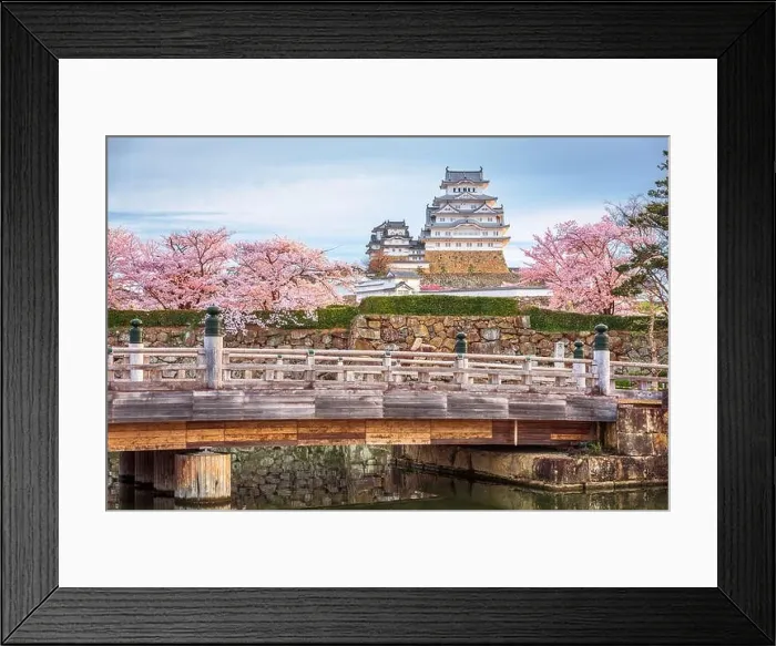 Framed Print : Himeji, Japan at Himeji Castle during spring cherry blossom season Framed Print : Himeji, Japan at Himeji Castle during spring cherry blossom season