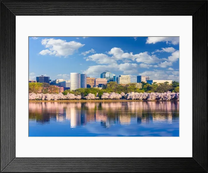 Framed Print : Washington DC, USA in spring season Framed Print : Washington DC, USA in spring season