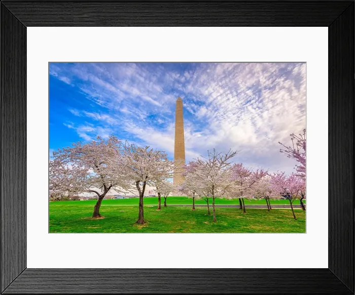Framed Print : Washington DC, USA in spring season Framed Print : Washington DC, USA in spring season