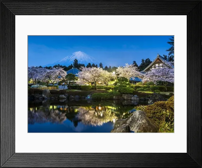 Framed Print : Fujinomiya, Shizuoka, Japan with Mt. Fuji and temples in spring season Framed Print : Fujinomiya, Shizuoka, Japan with Mt. Fuji and temples in spring season