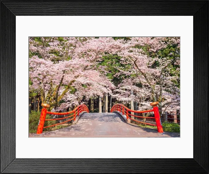 Framed Print : Kamijo, Shizuoka, Japan rural scene with cherry blossoms and a traditional bridge Framed Print : Kamijo, Shizuoka, Japan rural scene with cherry blossoms and a traditional bridge