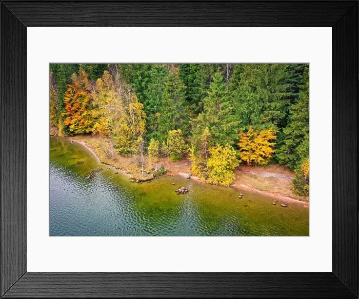 Framed Print : Coastline view from the drone, autumn colors forest on the coast Framed Print : Coastline view from the drone, autumn colors forest on the coast