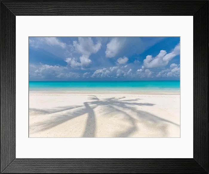 Framed Print : Artistic tropical beach landscape, palm tree leaves shadow. Amazing seascape, exotic nature pattern. Abstract paradise island coast, sunny weather Framed Print : Artistic tropical beach landscape, palm tree leaves shadow. Amazing seascape, exotic nature pattern. Abstract paradise island coast, sunny weather