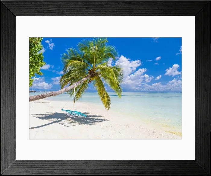 Framed Print : Palm trees and swing over shallow blue sea. Idyllic tropical nature scene, blue sky and turquoise lagoon water. Exotic summer vacation and holiday Framed Print : Palm trees and swing over shallow blue sea. Idyllic tropical nature scene, blue sky and turquoise lagoon water. Exotic summer vacation and holiday