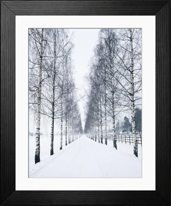 Framed Print : Scenic winter landscape with snowy road at daytime in Finland Framed Print : Scenic winter landscape with snowy road at daytime in Finland