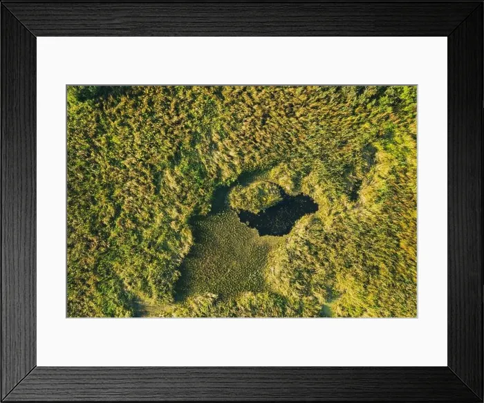 Framed Print : Aerial View Of Green Grass Landscape. Top View From High Attitude In Summer Evening. Small Marsh Bog. Drone View. Bird's Eye View Framed Print : Aerial View Of Green Grass Landscape. Top View From High Attitude In Summer Evening. Small Marsh Bog. Drone View. Bird's Eye View