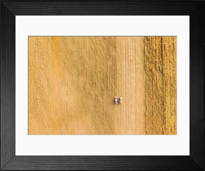 Framed Print : Aerial View Of Rural Landscape. Combine Harvester And Truck Working Together In Field, Collects Seeds. Harvesting Of Wheat In Autumn. Agricultural Framed Print : Aerial View Of Rural Landscape. Combine Harvester And Truck Working Together In Field, Collects Seeds. Harvesting Of Wheat In Autumn. Agricultural