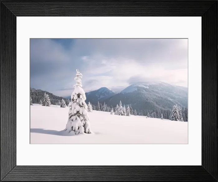 Framed Print : Fantastic winter landscape with snowy trees. Carpathian mountains, Ukraine, Europe. Christmas holiday concept Framed Print : Fantastic winter landscape with snowy trees. Carpathian mountains, Ukraine, Europe. Christmas holiday concept