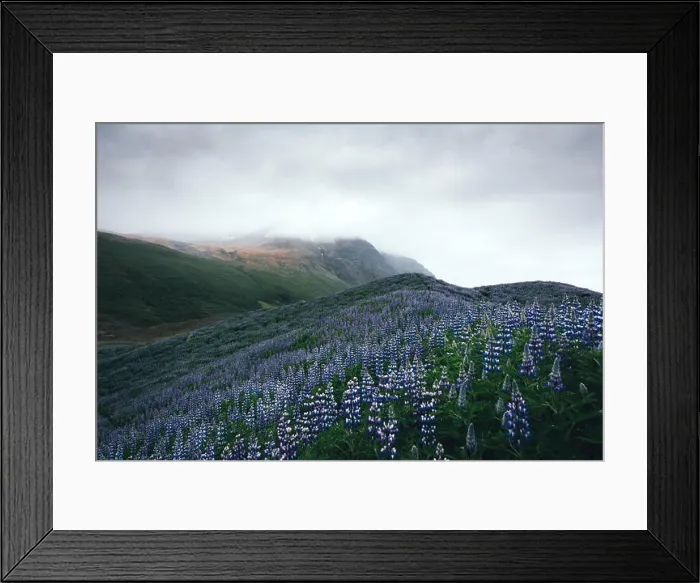 Framed Print : Typical Iceland landscape Framed Print : Typical Iceland landscape