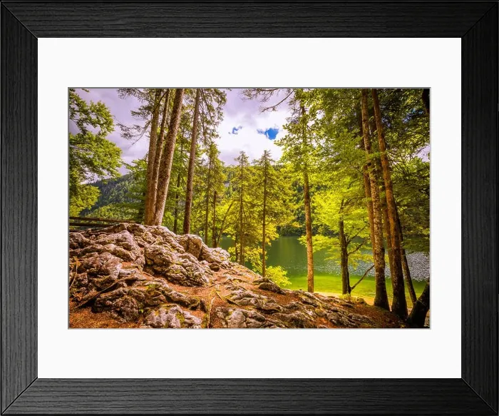 Framed Print : Beautiful mountain lake in the forest, bright summer day. Tranquil nature landscape, green pine trees and calm sunshine Framed Print : Beautiful mountain lake in the forest, bright summer day. Tranquil nature landscape, green pine trees and calm sunshine
