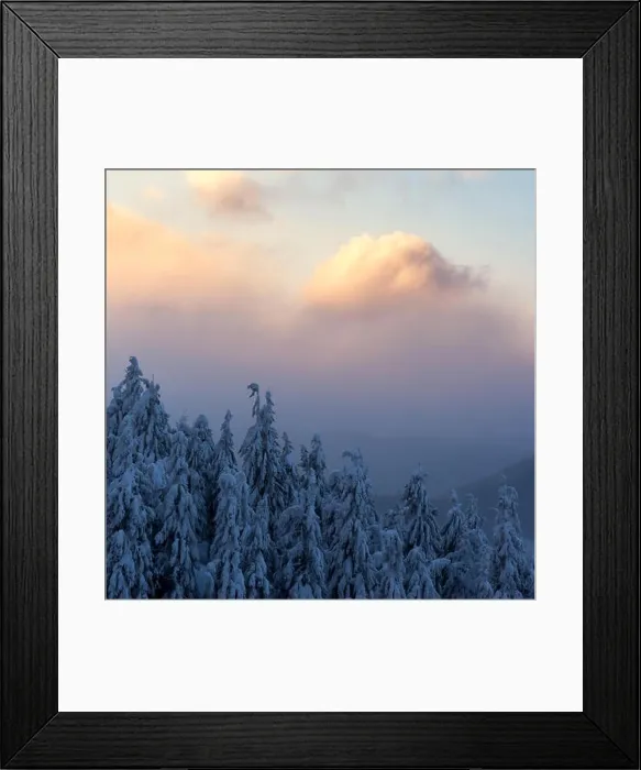Framed Print : Dramatic wintry scene with snowy trees Framed Print : Dramatic wintry scene with snowy trees
