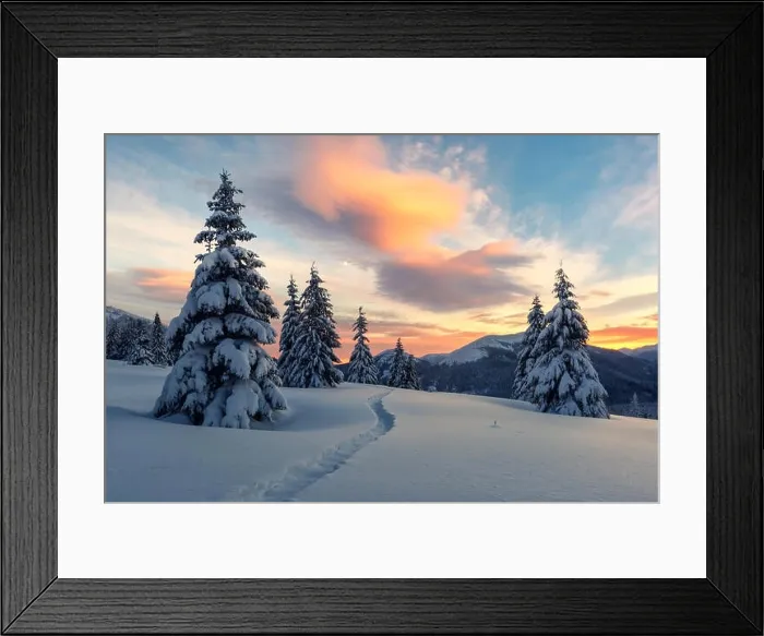 Framed Print : Dramatic wintry scene with snowy trees Framed Print : Dramatic wintry scene with snowy trees