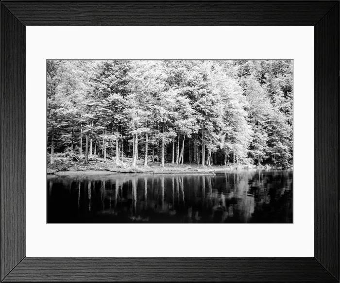 Framed Print : Beautiful trees, lake reflection, tranquil nature. Forest and mountain pass, relaxing scenery. Artistic nature background, trees and lake view Framed Print : Beautiful trees, lake reflection, tranquil nature. Forest and mountain pass, relaxing scenery. Artistic nature background, trees and lake view