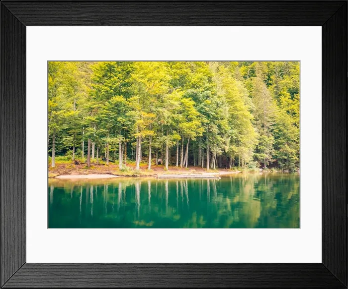 Framed Print : Beautiful trees, lake reflection, tranquil nature. Forest and mountain pass, relaxing scenery. Artistic nature background, trees and lake view Framed Print : Beautiful trees, lake reflection, tranquil nature. Forest and mountain pass, relaxing scenery. Artistic nature background, trees and lake view