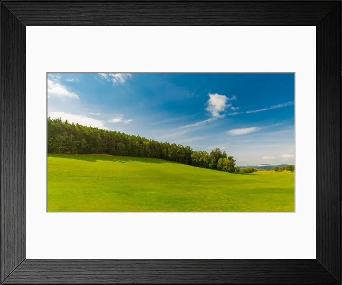 Framed Print : Beautiful green grass meadow field and forest background under blue sky, idyllic landscape. Nature background Framed Print : Beautiful green grass meadow field and forest background under blue sky, idyllic landscape. Nature background