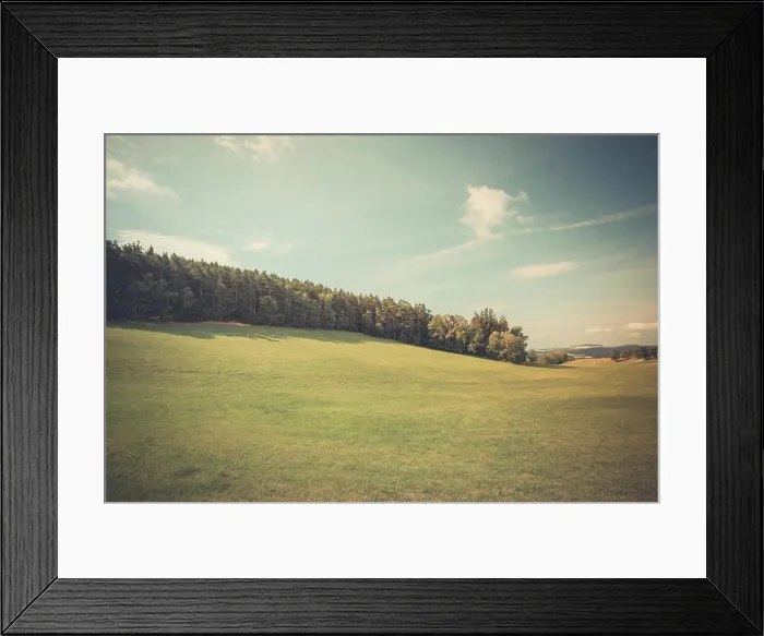 Framed Print : Beautiful green grass meadow field and forest background under blue sky, idyllic landscape. Nature background Framed Print : Beautiful green grass meadow field and forest background under blue sky, idyllic landscape. Nature background