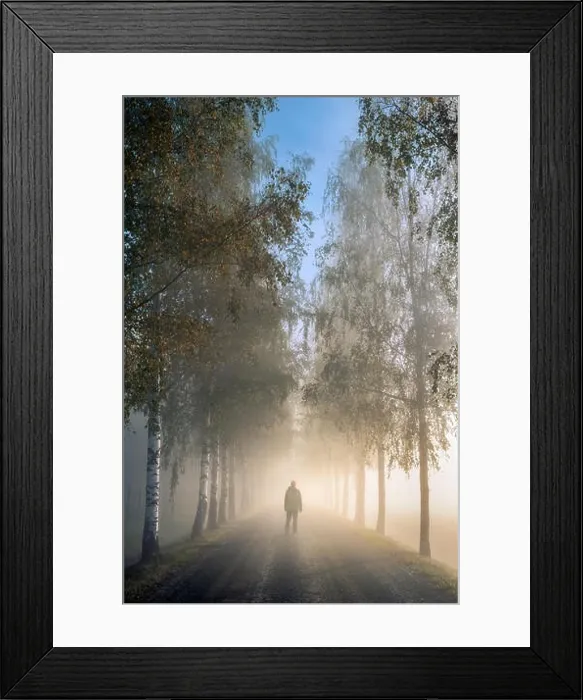 Framed Print : Idyllic landscape with walking man, birch alley, beautiful morning fog and light at autumn morning in Finland Framed Print : Idyllic landscape with walking man, birch alley, beautiful morning fog and light at autumn morning in Finland