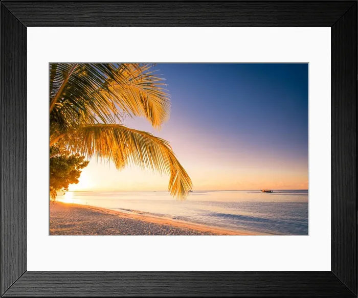 Framed Print : Beautiful sunset on the beach, palm leaves and calm sea view. Tranquil exotic landscape. Tropical beach background concept Framed Print : Beautiful sunset on the beach, palm leaves and calm sea view. Tranquil exotic landscape. Tropical beach background concept