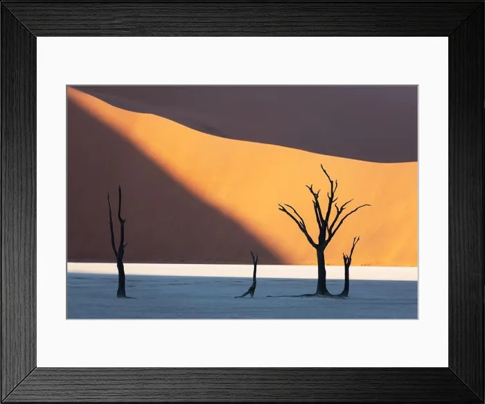 Framed Print : Dead Camelthorn Trees at sunrise, Deadvlei, Namib-Naukluft National Park, Namibia, Africa. Dried trees in Namib desert. Landscape photography Framed Print : Dead Camelthorn Trees at sunrise, Deadvlei, Namib-Naukluft National Park, Namibia, Africa. Dried trees in Namib desert. Landscape photography