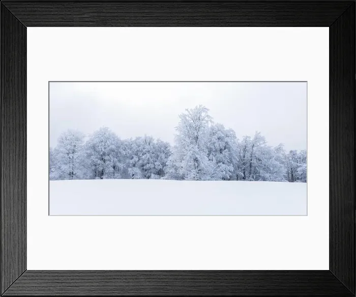 Framed Print : Minimalistic winter landscape in cloudy weather with snowy trees. Carpathian mountains, Landscape photography Framed Print : Minimalistic winter landscape in cloudy weather with snowy trees. Carpathian mountains, Landscape photography