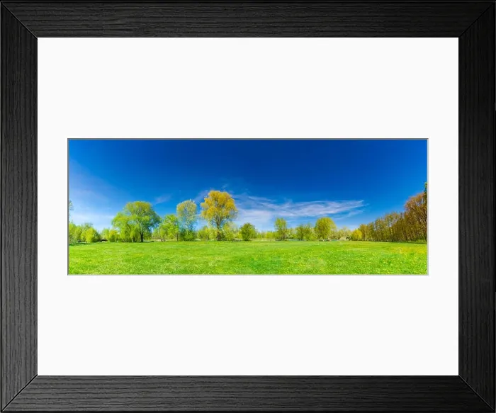 Framed Print : Panoramic spring summer landscape. Green meadow grass, yellow dandelion flowers and green trees under blue sky, sunny day. Idyllic nature landscape Framed Print : Panoramic spring summer landscape. Green meadow grass, yellow dandelion flowers and green trees under blue sky, sunny day. Idyllic nature landscape