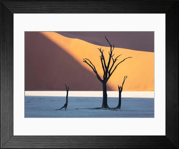 Framed Print : Dead Camelthorn Trees at sunrise, Deadvlei, Namib-Naukluft National Park, Namibia, Africa. Dried trees in Namib desert. Landscape photography Framed Print : Dead Camelthorn Trees at sunrise, Deadvlei, Namib-Naukluft National Park, Namibia, Africa. Dried trees in Namib desert. Landscape photography