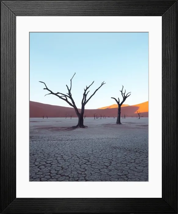 Framed Print : Dead Camelthorn Trees at sunrise, Deadvlei, Namib-Naukluft National Park, Namibia, Africa. Dried trees in Namib desert. Landscape photography Framed Print : Dead Camelthorn Trees at sunrise, Deadvlei, Namib-Naukluft National Park, Namibia, Africa. Dried trees in Namib desert. Landscape photography