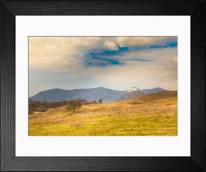 Framed Print : Dramatic field landscape, tree and meadows Framed Print : Dramatic field landscape, tree and meadows